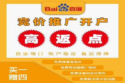 某品牌通过百度竞价提升线上销售业绩的案例